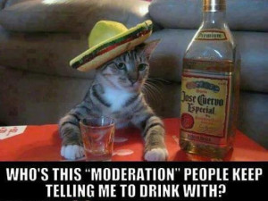... | Category: Funny Animals // Tags: Funny cat drinking // March, 2013