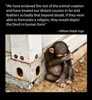 Email This BlogThis! Share to Twitter Share to Facebook Share to ...