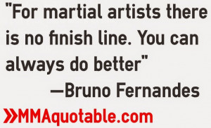 For martial artists there is no finish line. You can always do better ...
