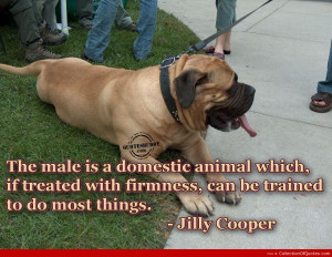 Funny Quotes & Sayings