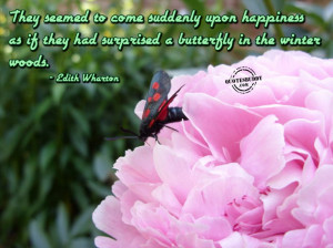 ... : Butterfly Quotes And The Picture Of The Pink Flower In The Garden