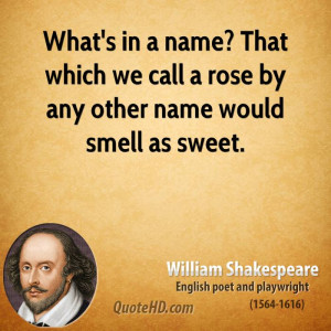What's in a name? That which we call a rose by any other name would ...