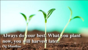 Og Mandino quotes