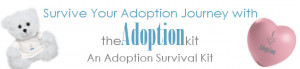 TheAdoptionKit-Adoption-Survival-Kit.png