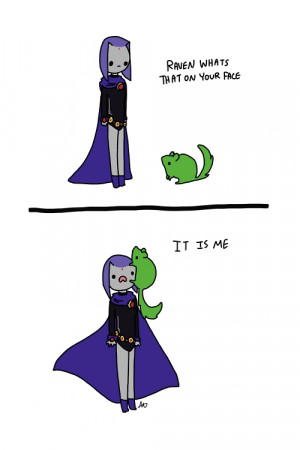 dc teen titans raven beast boy chinchilla