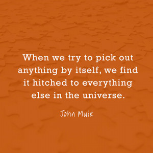 quotes-connection-universe-john-muir-480x480.jpg