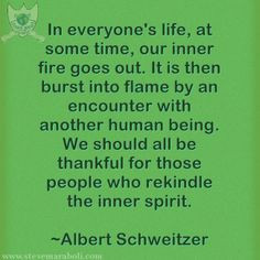 Albert Schweitzer quote More