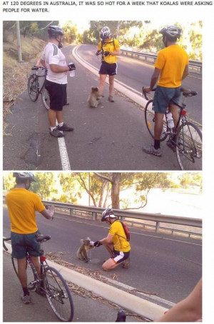 Funny Quotes Hot Weather #1