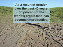causes of soil erosion