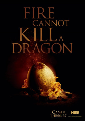 Fire Cannot Kill A Dragon