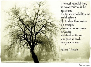 Amazing world quotes