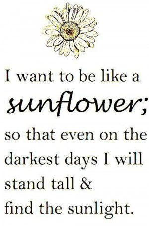 Postitive Quotes About Sunshine And Sunflowers