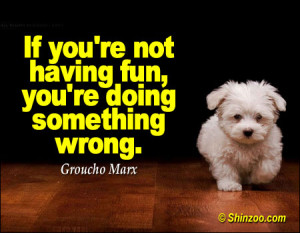 If you’re not having fun, you’re doing something wrong.”