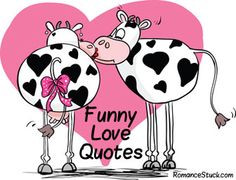 of cute funny love quotes and sayings offers both funny love quotes ...