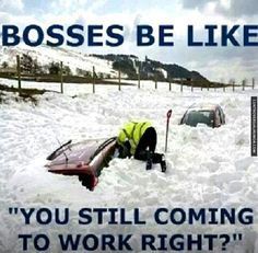Bosses Be Like -so stupid... lol More