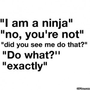 Funny-Quotes-I-am-a-Ninja.jpg