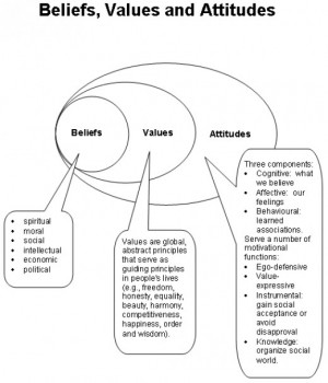 Beliefs, Values and Attitudes