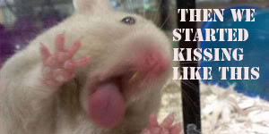 photo funny-pictures-hamster-kiss-glassco.jpg