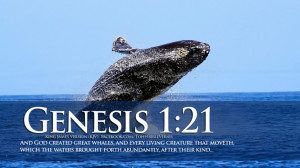 Bible Verses Creation Genesis 1:21 Jumping Whale Wallpaper