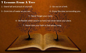 مرسلة بواسطة julia sam في 6:29 PM