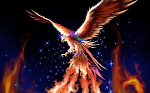 phoenix rising a poem by dream weaver resolute to rise from merciless ...