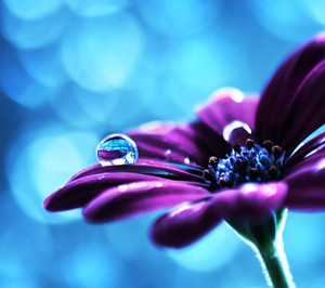 Klicken Sie auf die Grafik für eine größere Ansicht Name:Sony ...