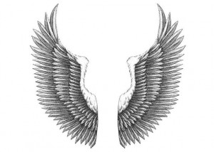 Eagle Wings Clip Art