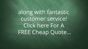 ... choose between low cost auto insurance and great insurance protection