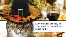 Thanksgiving day humor wine hat fall funny HD Wallpaper