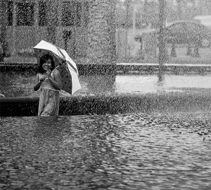 the downpour in Showcase of Beautiful Rain Photography