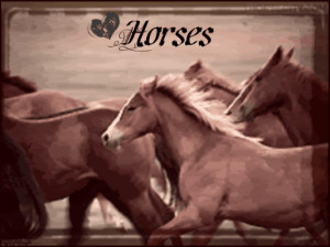 All Graphics » Quotes about horses