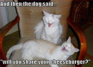 30 Funny animal captions - part 11, funny meme pictures, funny memes ...