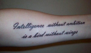 Intelligence Without Ambition is a bird without wings