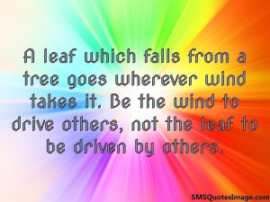 leaf which falls from a tree...