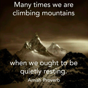 Amish Proverb | ★ Remember this | Pinterest