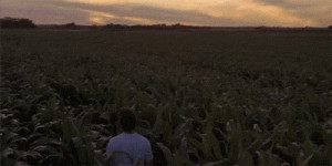 all great movie Field of Dreams quotes