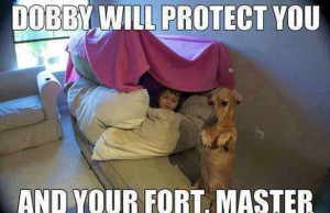 Fort-Security-guard.jpg