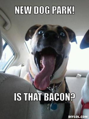 happy-dog-meme-generator-new-dog-park-is-that-bacon-348027.jpg