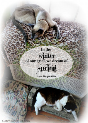 cats quote dreaming of spring