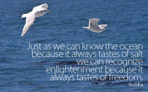 Just as we can know the ocean because it always tastes of salt we can ...