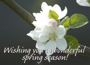 forums: [url=http://www.tumblr18.com/wishing-you-a-wonderful-spring ...