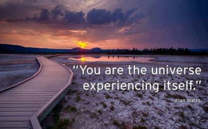 You are the universe experiencing itself.