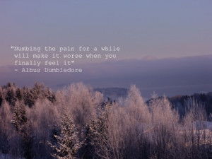 albus dumbledore, cold, nature, pain, photo, quote, quotes, sea, text ...