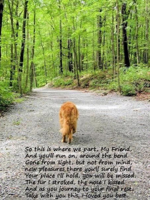 Saying goodbye to a beloved pet...
