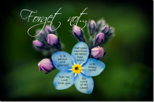 Forget-Me-Not, by Elder Dieter F. Uchtdorf