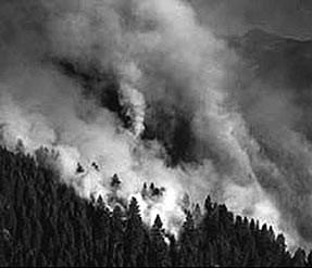 Smoke rising from forest. Courtesy of USDA Forest Service.