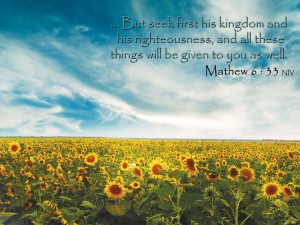But seek first his kingdom and his righteousness, and all these things ...