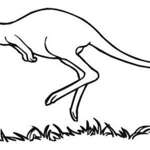 Kangaroo Famous Australia...