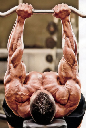 Workout Quotes For Bodybuilderspin By Hank Rearden On Motivation ...