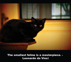 The smallest feline is a masterpiece. ― Leonardo da Vinci